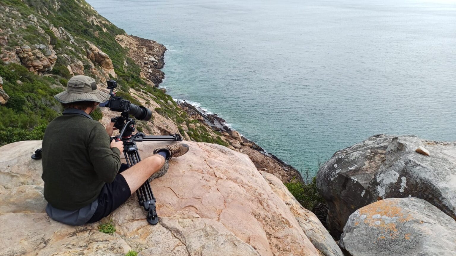 Person shooting seals
